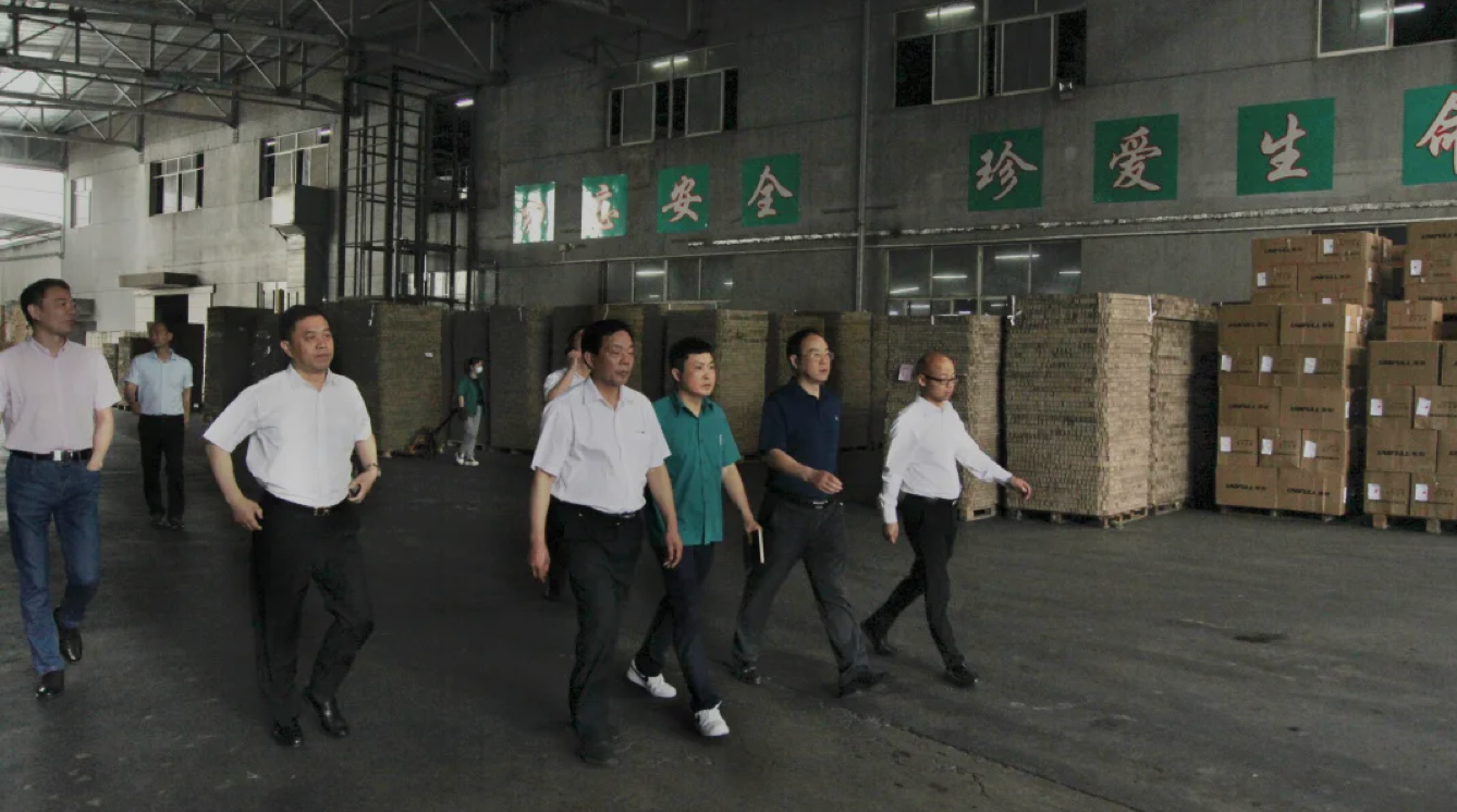 凯时AG（股票代码：002427）