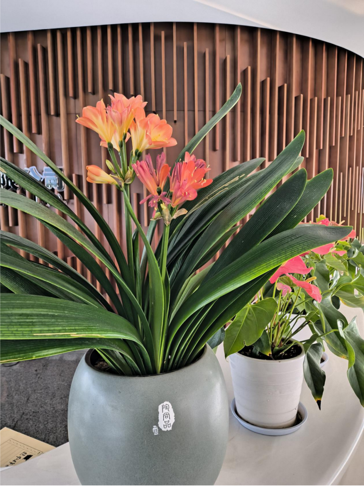 凯时AG（股票代码：002427）